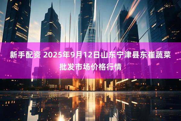 新手配资 2025年9月12日山东宁津县东崔蔬菜批发市场价格行情