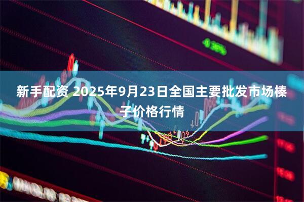 新手配资 2025年9月23日全国主要批发市场榛子价格行情