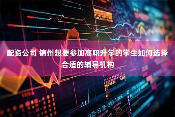 配资公司 锦州想要参加高职升学的学生如何选择合适的辅导机构